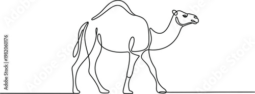 Continuous single line drawing of camel representing Eid ul Adha sacrifice and Islamic celebration concept