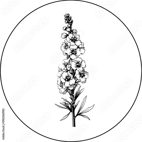 Black & white floral sketch of a larkspur flower within a circular frame