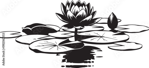 Black and white lotus flower on lily pads plant