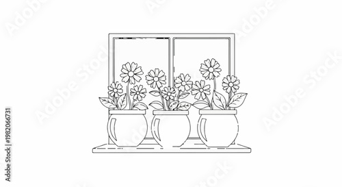 Three potted daisy plants sit on a windowsill in front of a two-pane window