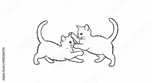 Two playful kittens are drawn in a simple black and white sketch style