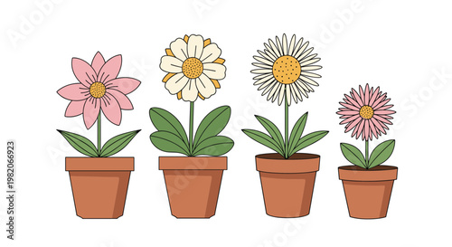 Four different flowers including daisies and sunflowers planted in simple terracotta pots arranged in a horizontal row on white.