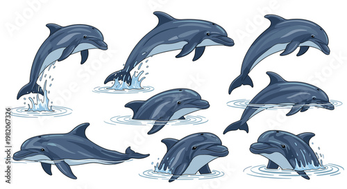 Group of dolphins depicted in various active poses such as jumping from the water, swimming, and playing together in the sea.