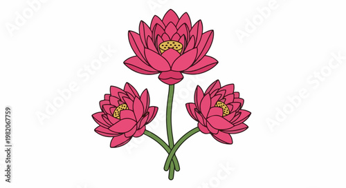 Three bright pink lotus flowers with yellow centers on green stems