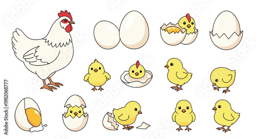 Life cycle of a chicken showing a hen, white eggs, and yellow chicks hatching from their shells in various cute and playful poses.