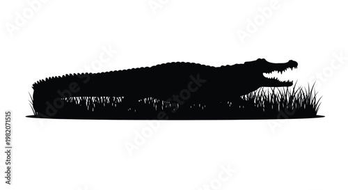 Black silhouette of an alligator partially submerged in grassy wetlands