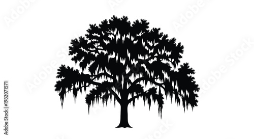A striking silhouette of a large tree with spanish moss hanging down