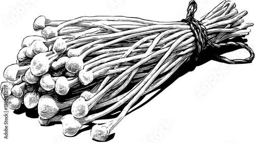 A tightly bound bunch of scallions rendered in detailed black and white line art