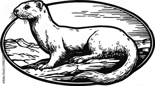Black and white illustration of a weasel in an oval frame