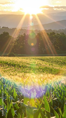 Golden sunlight streams through the atmosphere, illuminating a lush green field and distant rolling hills, creating a breathtaking landscape scene.
