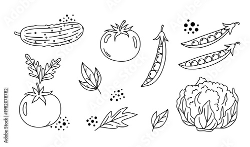 Hand drawn vegetable doodle set cucumber tomato peas cauliflower abstract vegetarian icons