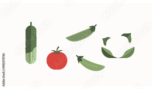 Abstract vegetable set flat vector cucumber tomato peas cauliflower minimal organic shapes