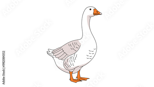 White goose with grey feathers and orange beak stands gracefully against a plain white background in this simple vector illustration.