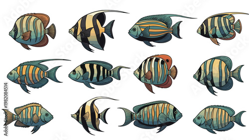 Collection of diverse tropical fish with colorful patterns and different shapes isolated on a white background.