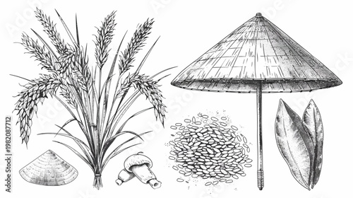 Black and white drawing showcasing rice, mushrooms, hats, parasol and leaves