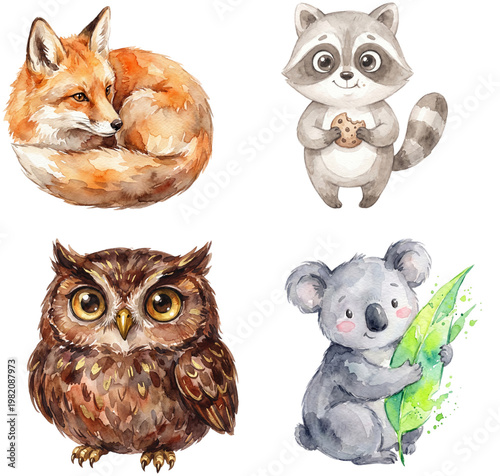 Charming watercolor illustrations of a fox, raccoon, owl, and koala, showcasing delightful forest friends.