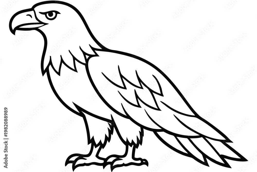 Obraz premium eagle bird silhouette line art vector illustration with a white background