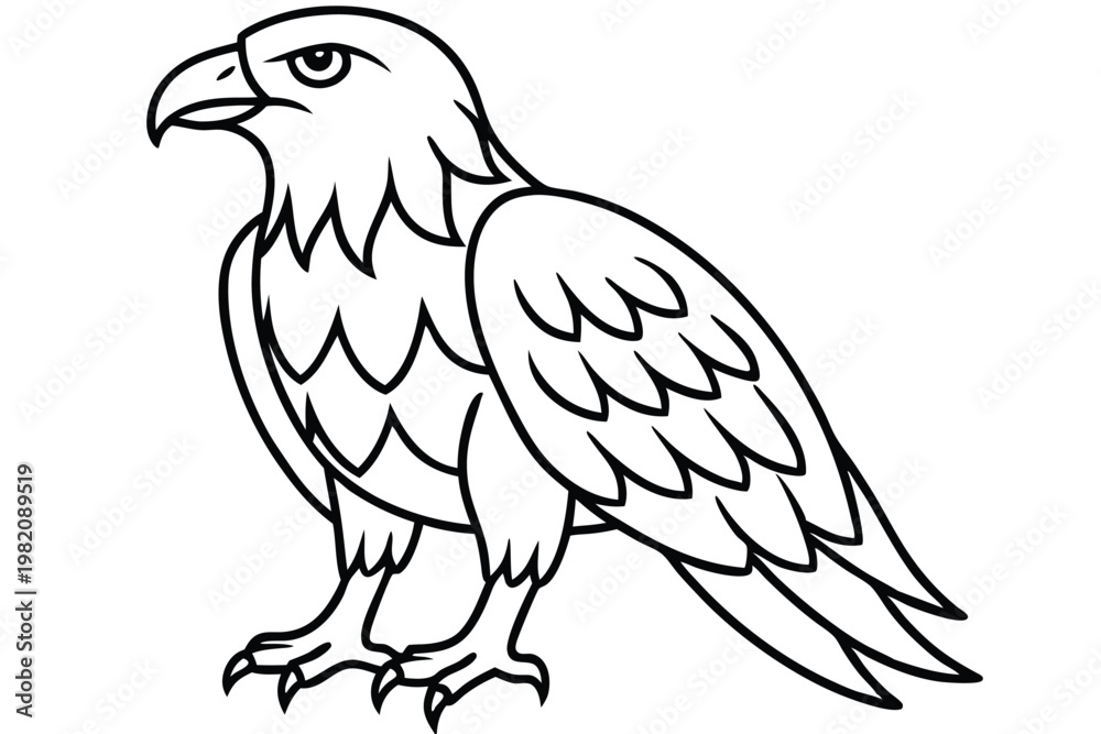 Obraz premium eagle bird silhouette line art vector illustration with a white background