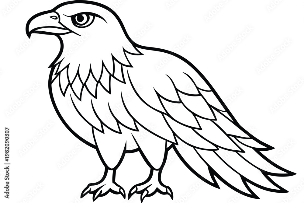 Obraz premium eagle bird silhouette line art vector illustration with a white background