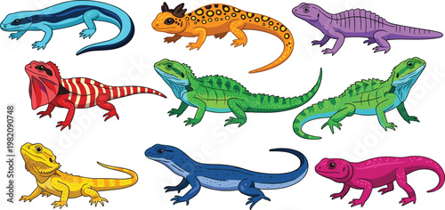 Colorful Vector Set of Reptiles Including Lizards, Geckos, and Iguanas with Unique Patterns for Wildlife Illustrations and Designs