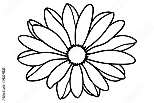 daisy flower silhouette line art vector illustration with a white background