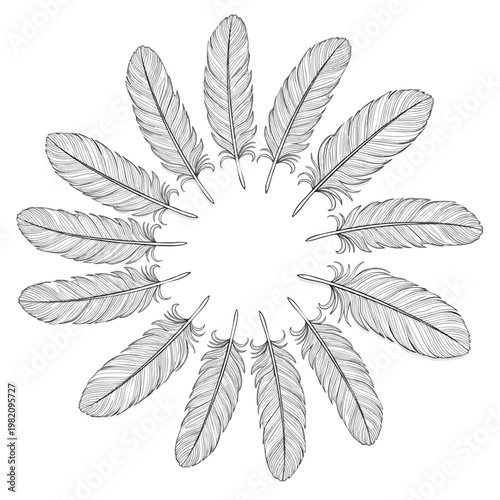 Elegant Arrangement of Feathers in a Circular Pattern for Artistic and Decorative Use