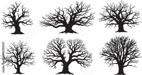 Black Leafless Dead Tree Silhouette Collection, Bare Branch Winter Oak Trees Vector Set