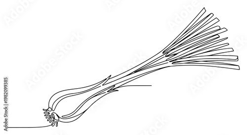 Lemongrass stalk or scallion bulb in continuous line drawing style
