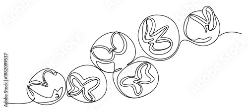 Cherry tomatoes on branch in minimalist continuous line art style