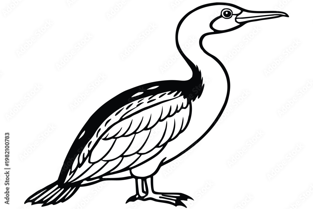 Fototapeta premium cormorant bird silhouette line art vector illustration with a white background