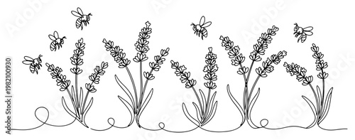 Bees pollinating lavender flowers in field in continuous line art style