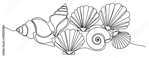 Fotografie Seashells and marine conch shells collection in minimalist continuous line art s