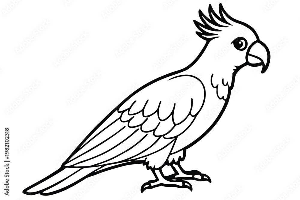 Obraz premium cockatoo bird silhouette line art vector illustration with a white background