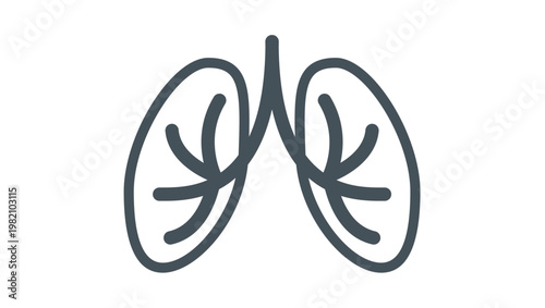 Human lungs vector icon illustration. Minimalist black line art of the respiratory system and pulmonary organs. Scalable symbol for breathing, healthcare, medical science, and wellness.