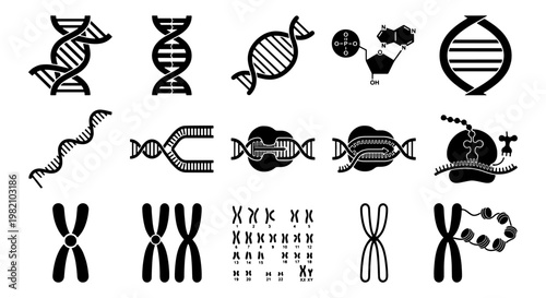 Genetics and DNA vector icon set, black chromosome and double helix symbols, 15 scientific biotechnology elements for laboratory research and education