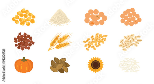 Detailed collection of diverse grains, legumes, seeds, and a whole pumpkin showcasing healthy food sources and agricultural variety.