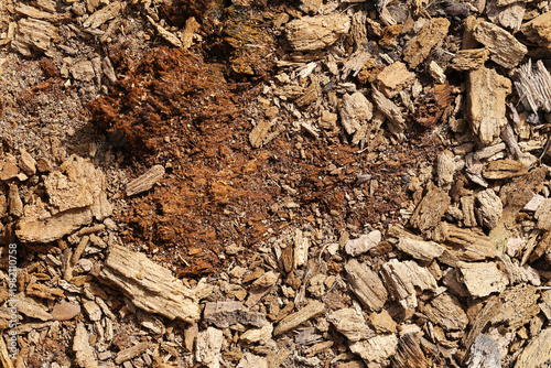 Wood chips and bark texture forming natural background. Organic material surface detail. Close up of mulch and tree fragments. Rustic ground pattern for gardening and landscaping projects.