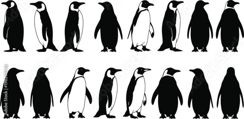 Large Silhouette Collection of Penguins in Various Poses Including Walking Standing and Alert StancesLarge Silhouette Collection of Penguins in Various Poses Including Walking Standing and Alert Stanc