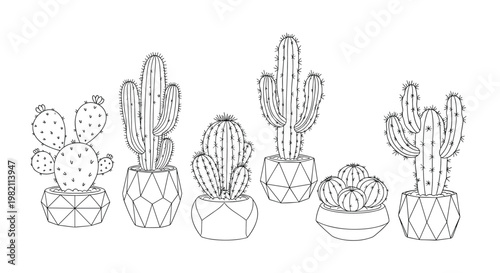Row of various cacti and succulent plants in stylish geometric pots are shown in a clean line art illustration style.