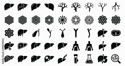 Liver Anatomy Icons. Outline icon set of liver anatomy basics: liver lobes, hepatic artery, portal vein, bile
