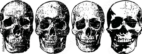 Four detailed human skull illustrations in vintage engraving style, monochrome anatomical art set