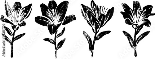 Black and white hand drawn floral design set with stylized flowers and leaves illustrations