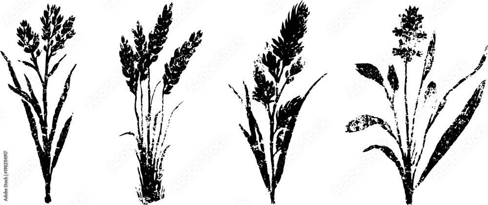 Fototapeta premium Silhouettes of wild grass plants nature botanical elements with different shapes