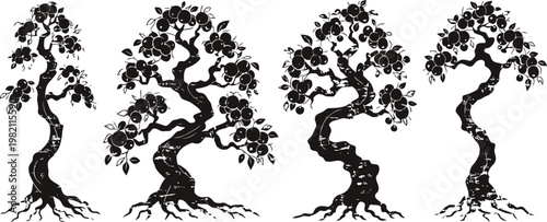 silhouette of four bonsai trees with twisted trunks and leafy canopies, isolated on white background