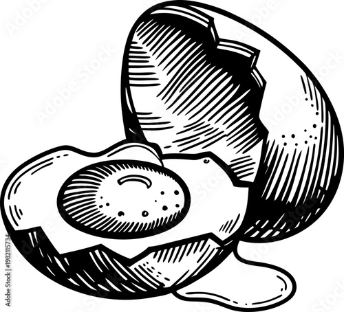 hand drawn cracked egg with yolk and egg white spilling vintage sketch of open chicken egg half