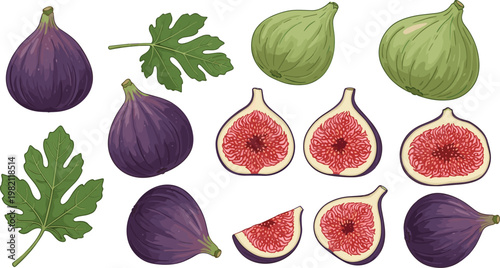 Fig and Fig Leaf Icon Set with Whole, Sliced, and Fresh Fruit for Food, Organic, and Healthy Lifestyle Designs