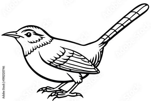 carolina wren bird silhouette line art vector illustration with a white background