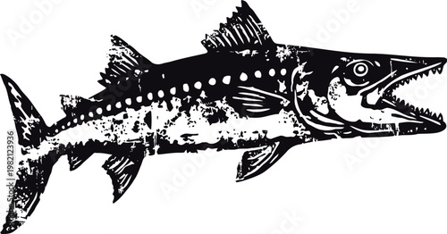 illustration of a barracuda fish with sharp teeth and spotted body in black and white