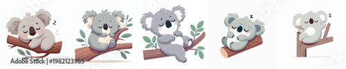 cute koala vector relaxing on a branch