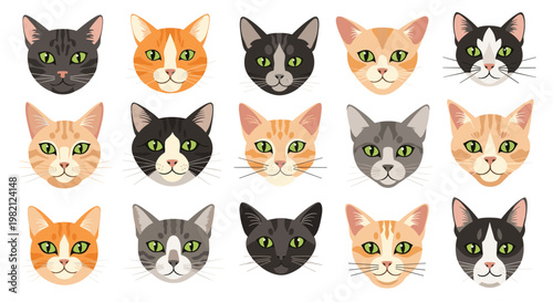 Diverse grid of fifteen cat faces showing a wide range of breeds and colors from black and white tuxedo to bright orange tabby patterns.
